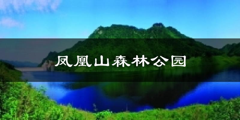 凤凰山森林公园天气预报十五天