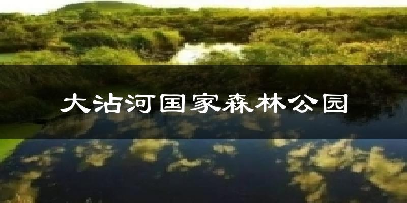 大沾河国家森林公园今日天气