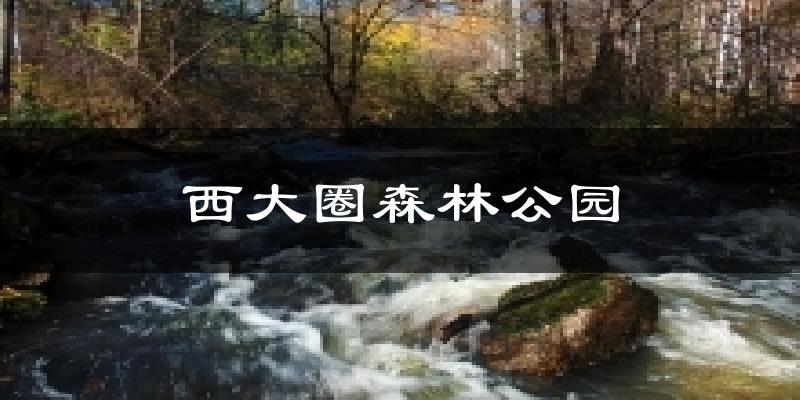 西大圈森林公园今日天气