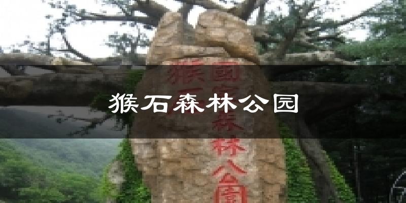 猴石森林公园天气预报十五天