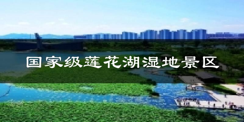 国家级莲花湖湿地景区天气预报十五天