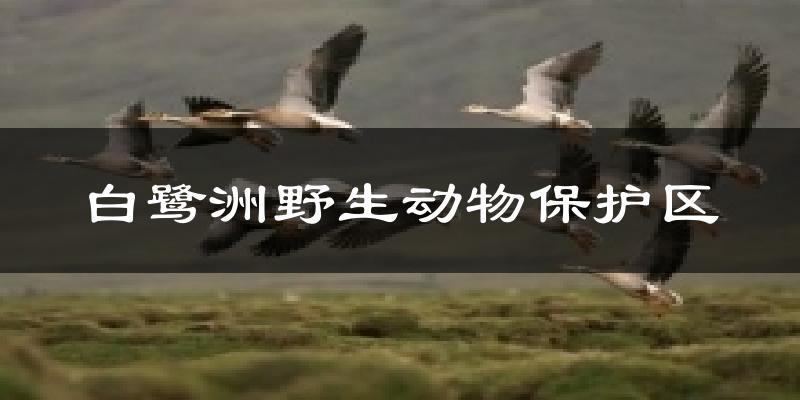 开原白鹭洲野生动物保护区天气预报未来一周