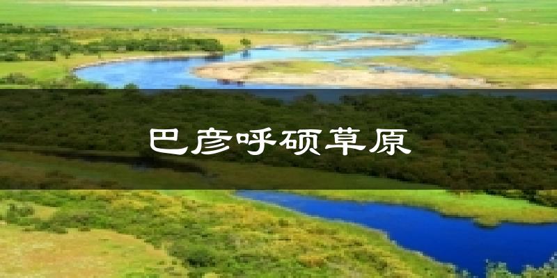 巴彦呼硕草原天气预报十五天