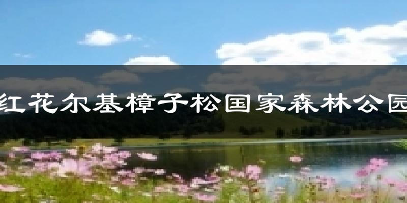 红花尔基樟子松国家森林公园气温