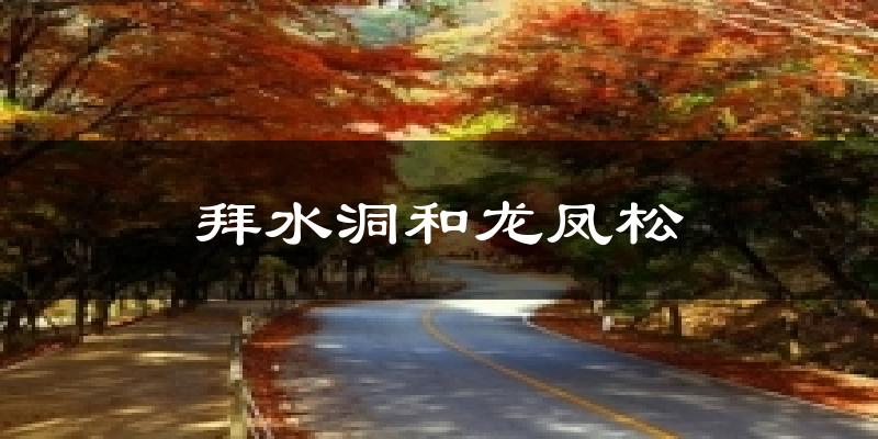 拜水洞和龙凤松气温