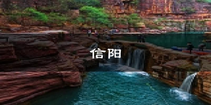 信阳天气预报未来一周