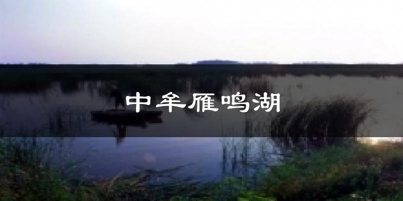 中牟雁鸣湖天气预报十五天