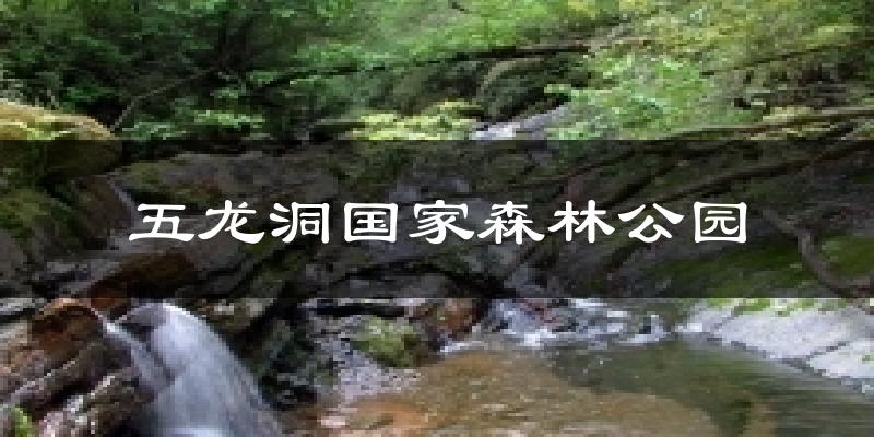 五龙洞国家森林公园今日天气