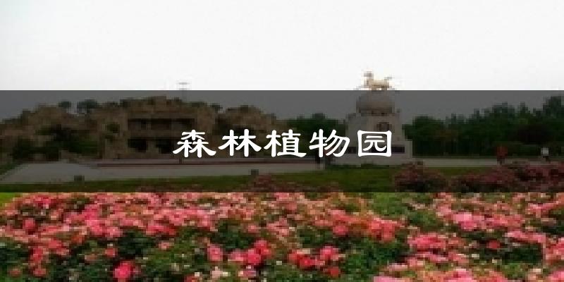 禹州森林植物园天气预报未来一周