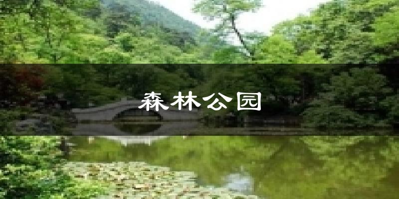 森林公园今日天气