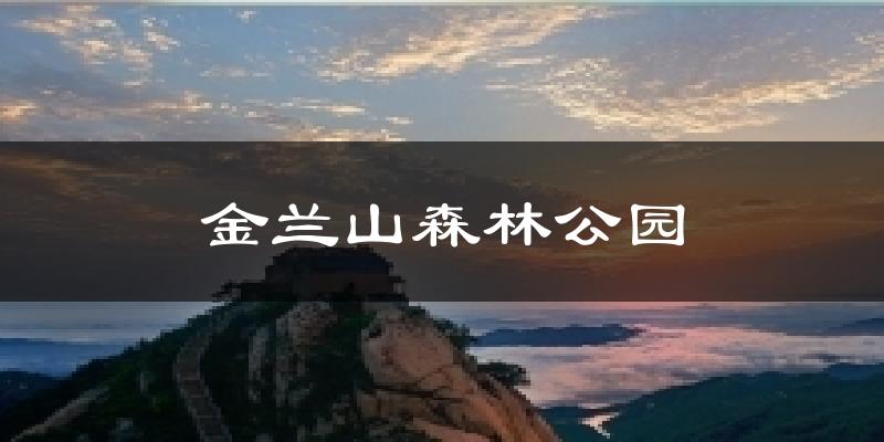 金兰山森林公园气温