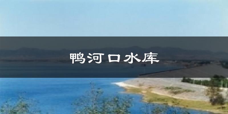 鸭河口水库今日天气