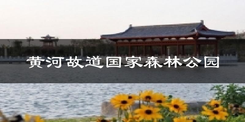 黄河故道国家森林公园今日天气