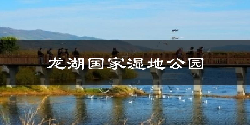 龙湖国家湿地公园气温