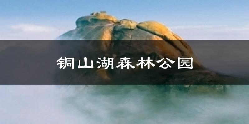 铜山湖森林公园今日天气