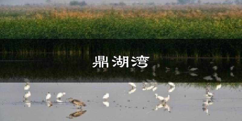 鼎湖湾气温