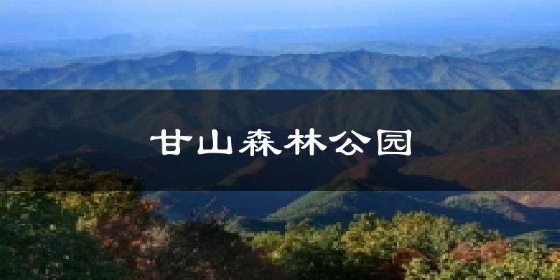 甘山森林公园今日天气