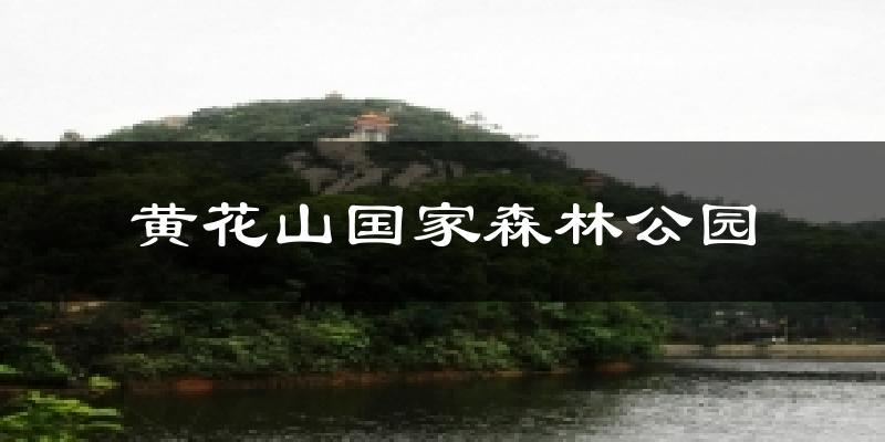 南澳黄花山国家森林公园天气预报未来一周