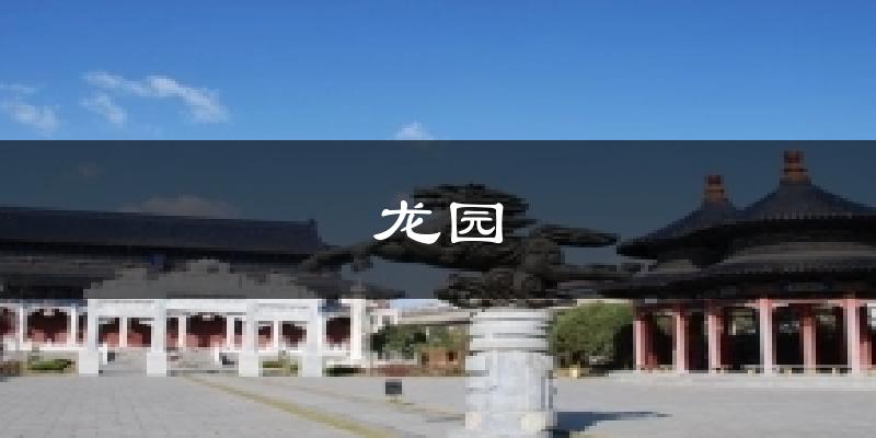 龙园气温