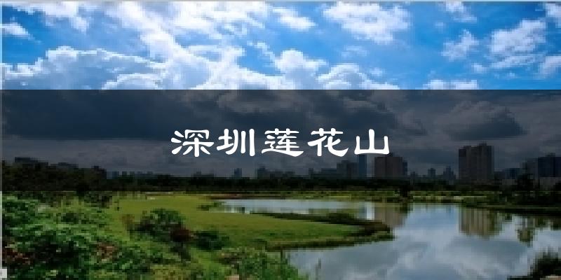 深圳莲花山气温