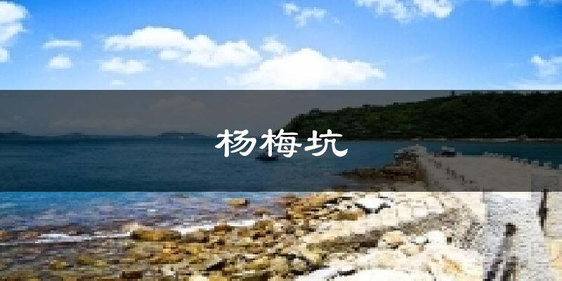 深圳杨梅坑天气预报未来一周