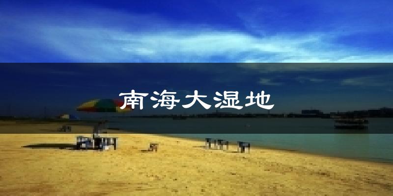 南海大湿地气温