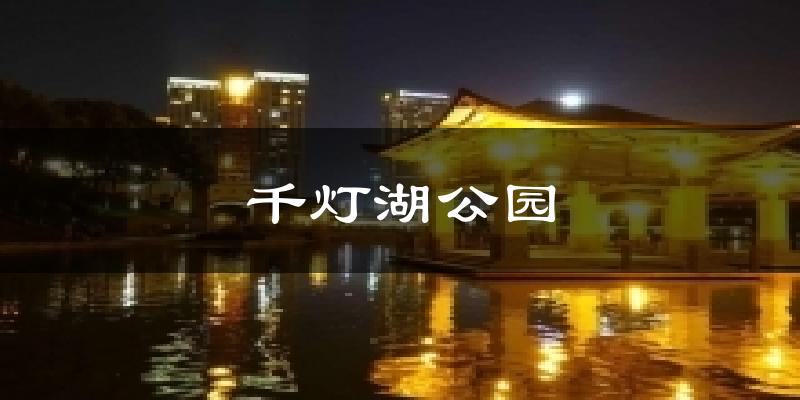 千灯湖公园今日天气