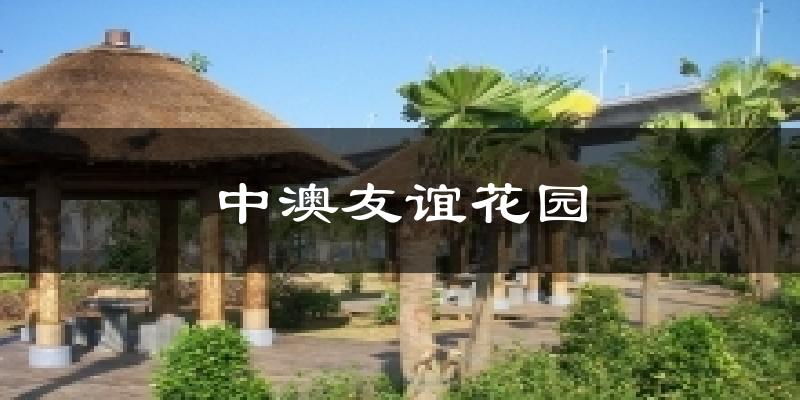 中澳友谊花园天气预报十五天