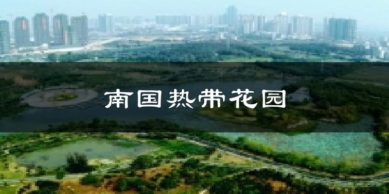 湛江南国热带花园天气预报未来一周