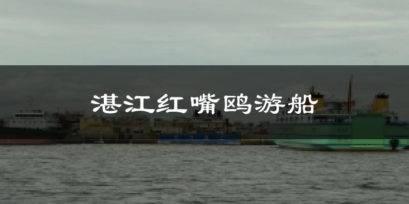 湛江红嘴鸥游船今日天气