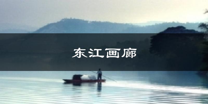 东江画廊今日天气