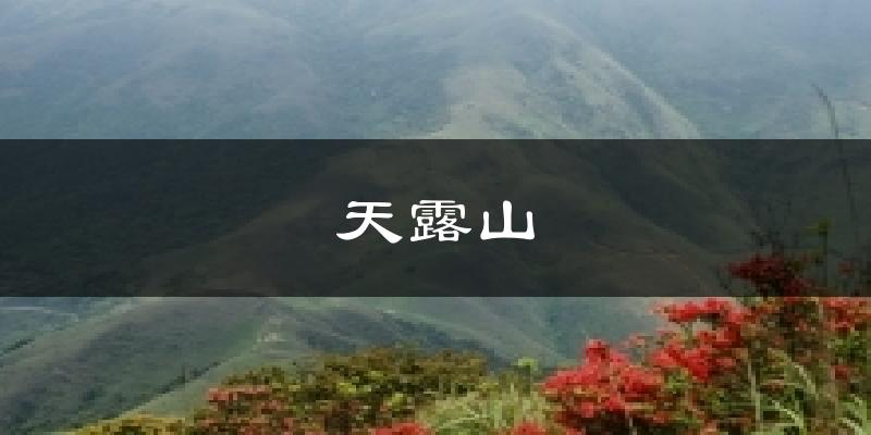 天露山天气预报十五天