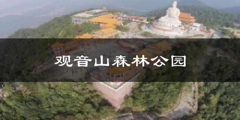 观音山森林公园天气预报十五天