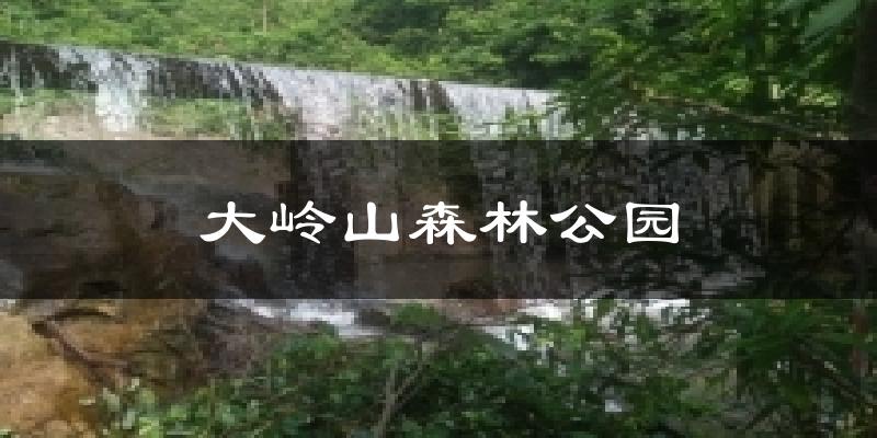 大岭山森林公园今日天气