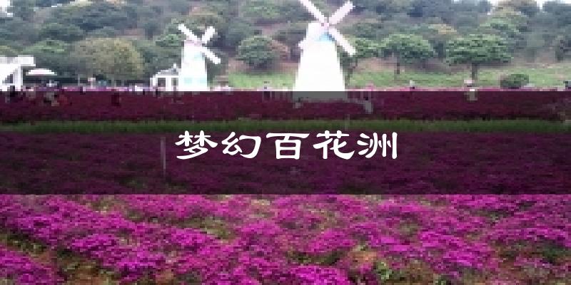 东莞梦幻百花洲天气预报未来一周