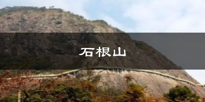 信宜石根山天气预报未来一周