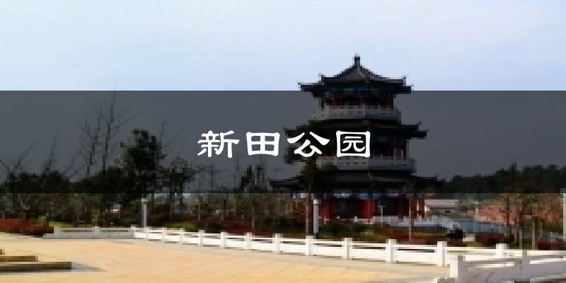 陆河新田公园天气预报未来一周